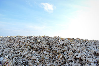 Low angle view of rocks on field against sky