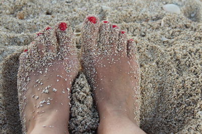 Low section of woman on wet sand at beach