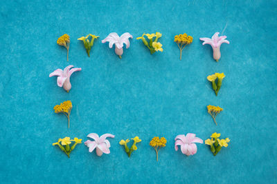 High angle view of yellow flowers against blue background