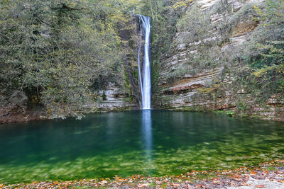 Scenic view of waterfall in forest