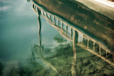 Reflection of trees in water