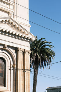 Low angle view of palm trees against clear sky