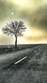 Bare tree on country road along landscape