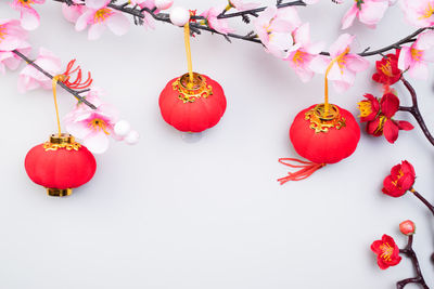 Close-up of red berries over white background