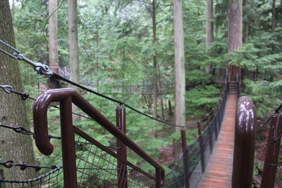 Footbridge in forest