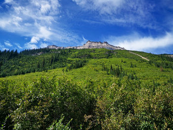 Scenic view of land against sky