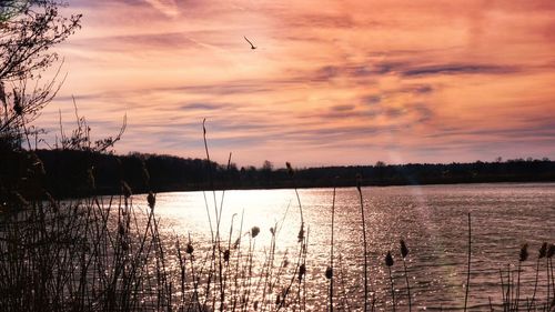 Scenic view of lake against orange sky