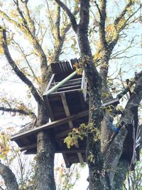 Low angle view of tree against building