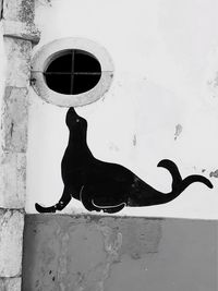 Close-up of a bird against wall