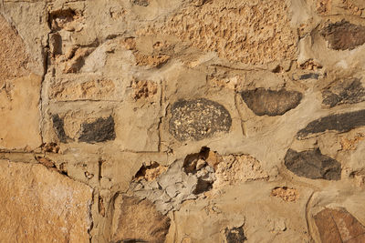 wall