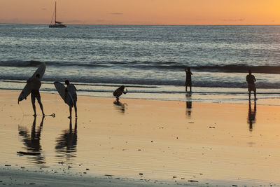 Seagulls on beach during sunset