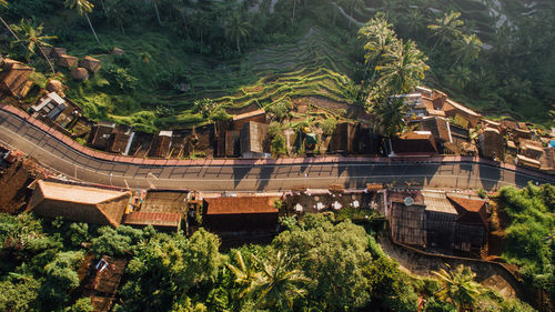 High angle view of trees