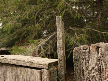 Close-up of wooden post on fence