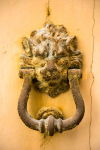Close-up of animal skull on wall