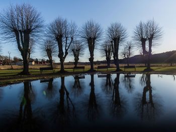 Reflection of trees in lake against sky