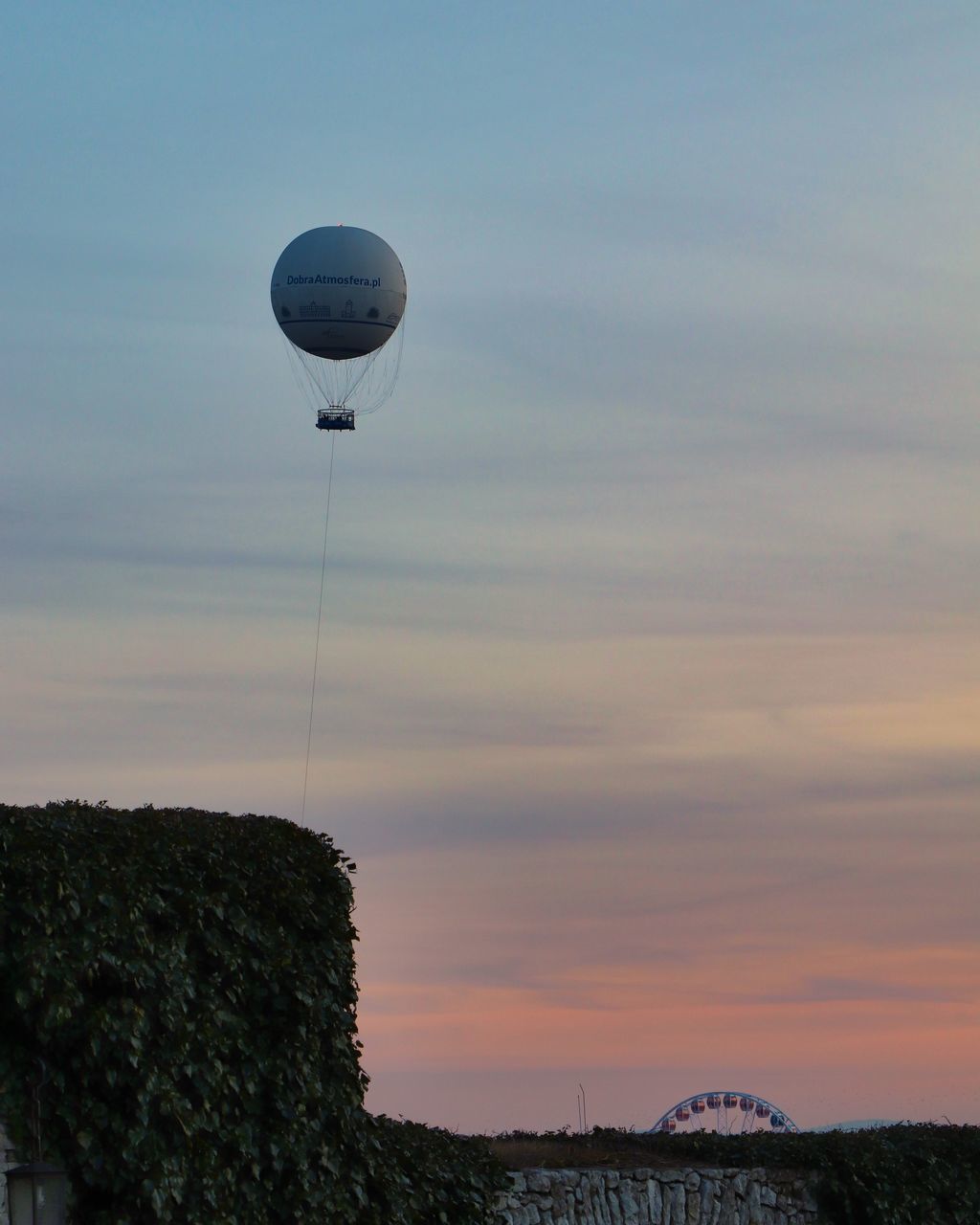 LOW ANGLE VIEW OF BALLOONS AGAINST SKY