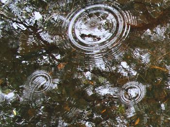 Full frame shot of reflection in lake