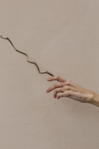Cropped hand of woman holding plant by wall
