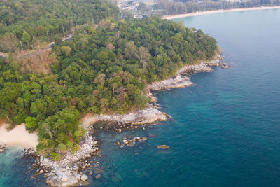 High angle view of tree by sea