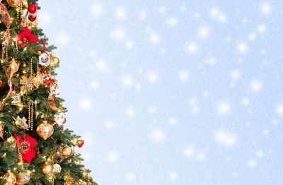 Close-up of christmas tree against colored background