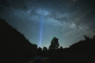 Trees against sky at night