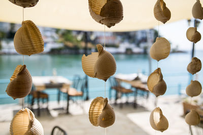 Close-up of shells with reflection