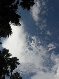 Low angle view of trees against cloudy sky