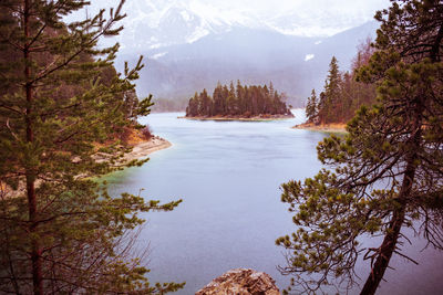 Scenic view of lake in forest against sky