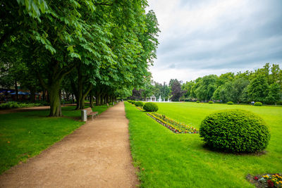 Scenic view of park