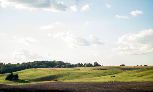 Scenic view of landscape against sky