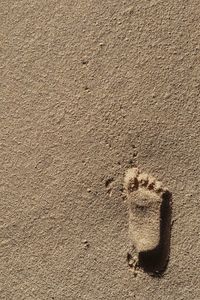 Directly above shot of footprint on sand at beach