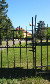 Fence on grassy field