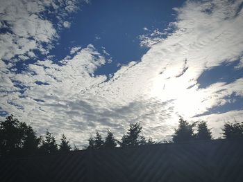 Low angle view of silhouette trees against sky