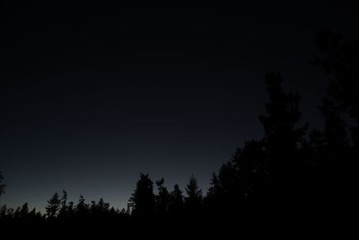 Low angle view of silhouette trees against clear sky at night