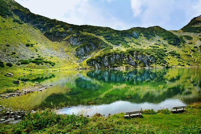 Scenic view of lake by trees against sky