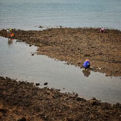 High angle view of people working on beach