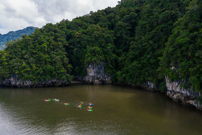 Scenic view of river amidst trees against sky