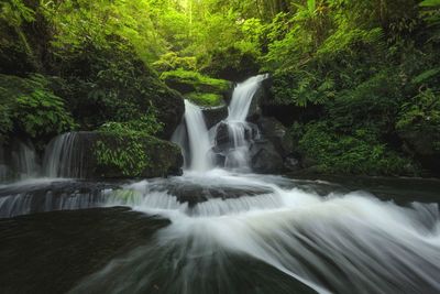 View of waterfall in forest