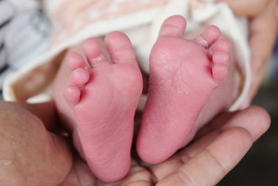Cropped hand holding baby feet