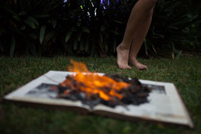 Low section of woman standing on grass