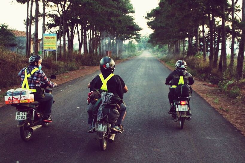 transportation, mode of transport, land vehicle, bicycle, riding, men, lifestyles, full length, tree, motorcycle, leisure activity, road, cycling, street, the way forward, rear view, on the move, car