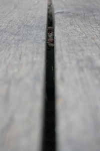 Surface level of white surface