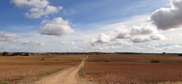 Scenic view of agricultural field against sky