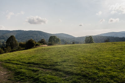 Scenic view of field against sky