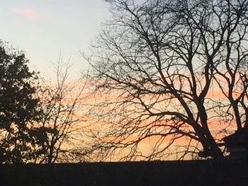 Silhouette bare trees against sky