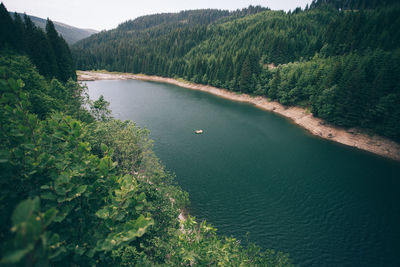 Scenic view of lake in forest