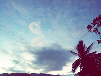 Low angle view of silhouette trees against blue sky