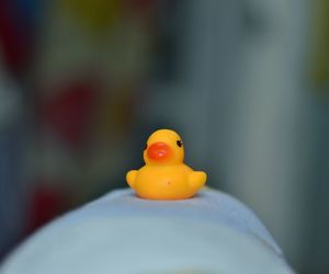 Close-up of stuffed toy in mouth