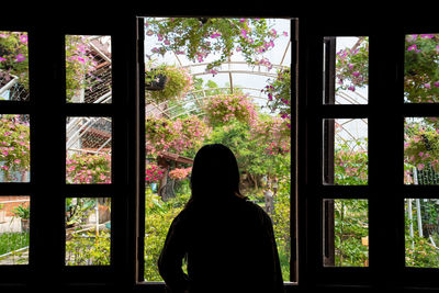 Rear view of silhouette man looking through window