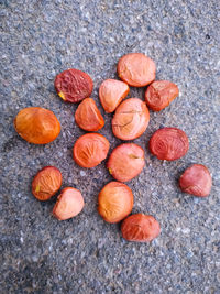 High angle view of orange and leaves on ground